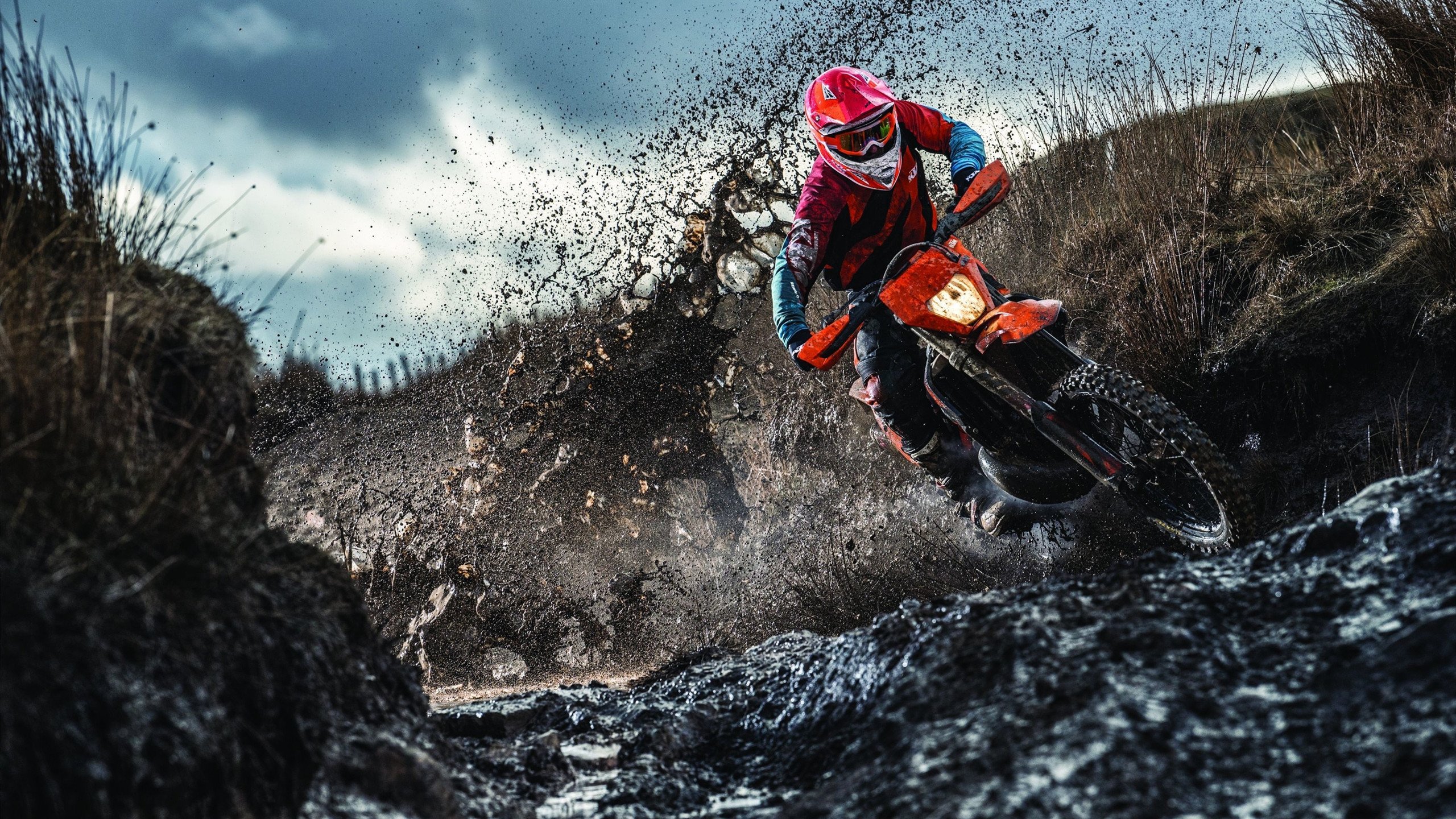 “南非羚羊队的防线支柱:埃尔斯·霍斯特的不可替代性”